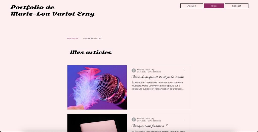Première capture d'écran de la page blog de mon premier Portfolio réalisé sur le CMS Wix, réalisé en DEUST Webmaster.